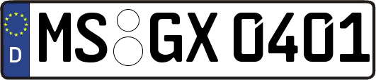 MS-GX0401