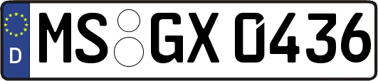 MS-GX0436