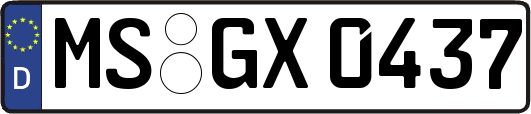 MS-GX0437