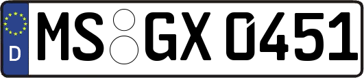 MS-GX0451