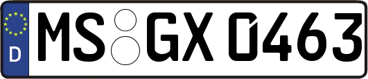 MS-GX0463