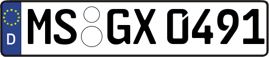 MS-GX0491