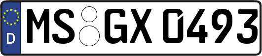 MS-GX0493