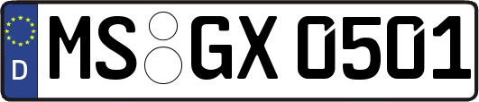 MS-GX0501