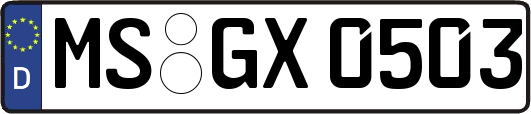 MS-GX0503