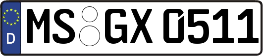 MS-GX0511