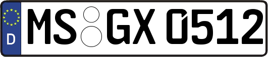 MS-GX0512
