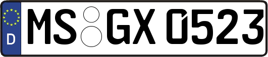 MS-GX0523