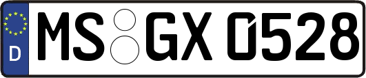 MS-GX0528