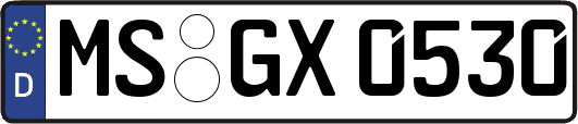MS-GX0530