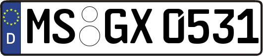 MS-GX0531
