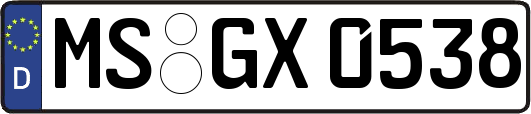 MS-GX0538