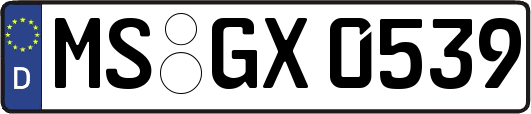 MS-GX0539