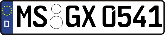MS-GX0541