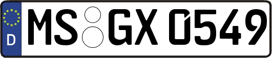 MS-GX0549