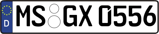 MS-GX0556
