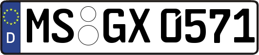 MS-GX0571