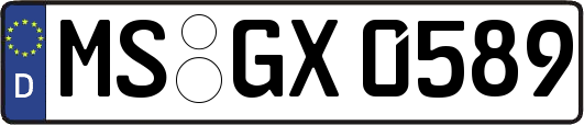 MS-GX0589