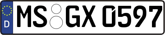 MS-GX0597