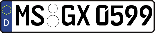 MS-GX0599