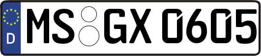 MS-GX0605