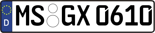 MS-GX0610