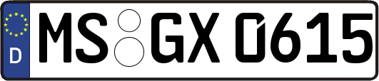 MS-GX0615