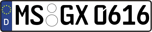 MS-GX0616