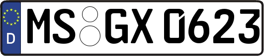 MS-GX0623