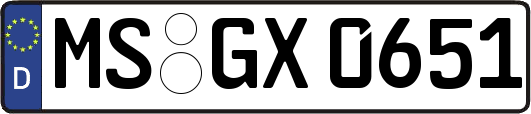 MS-GX0651