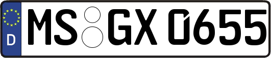 MS-GX0655