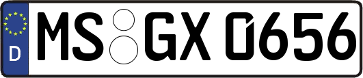MS-GX0656