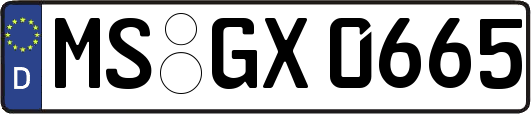MS-GX0665