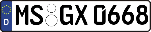 MS-GX0668