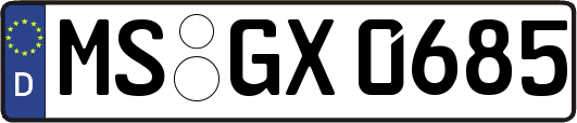 MS-GX0685