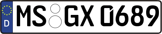 MS-GX0689