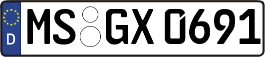MS-GX0691
