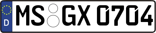 MS-GX0704