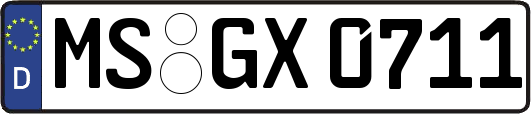 MS-GX0711