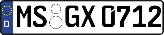 MS-GX0712