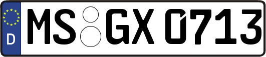 MS-GX0713