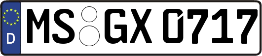 MS-GX0717