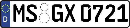 MS-GX0721