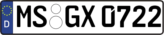 MS-GX0722