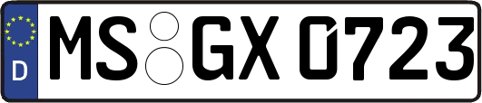 MS-GX0723