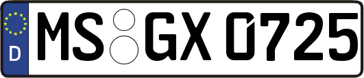 MS-GX0725
