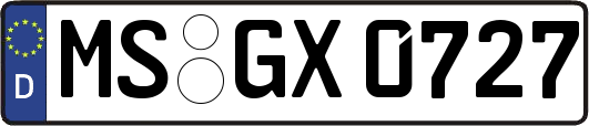 MS-GX0727