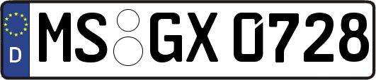 MS-GX0728