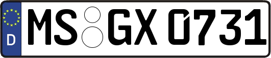 MS-GX0731