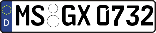 MS-GX0732